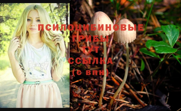 мескалин Белокуриха