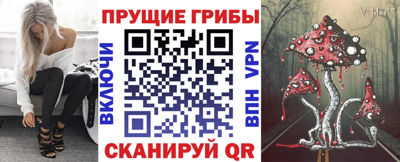Псилоцибиновые грибы мухоморы  купить   маркетплейс официальный сайт  Малмыж 